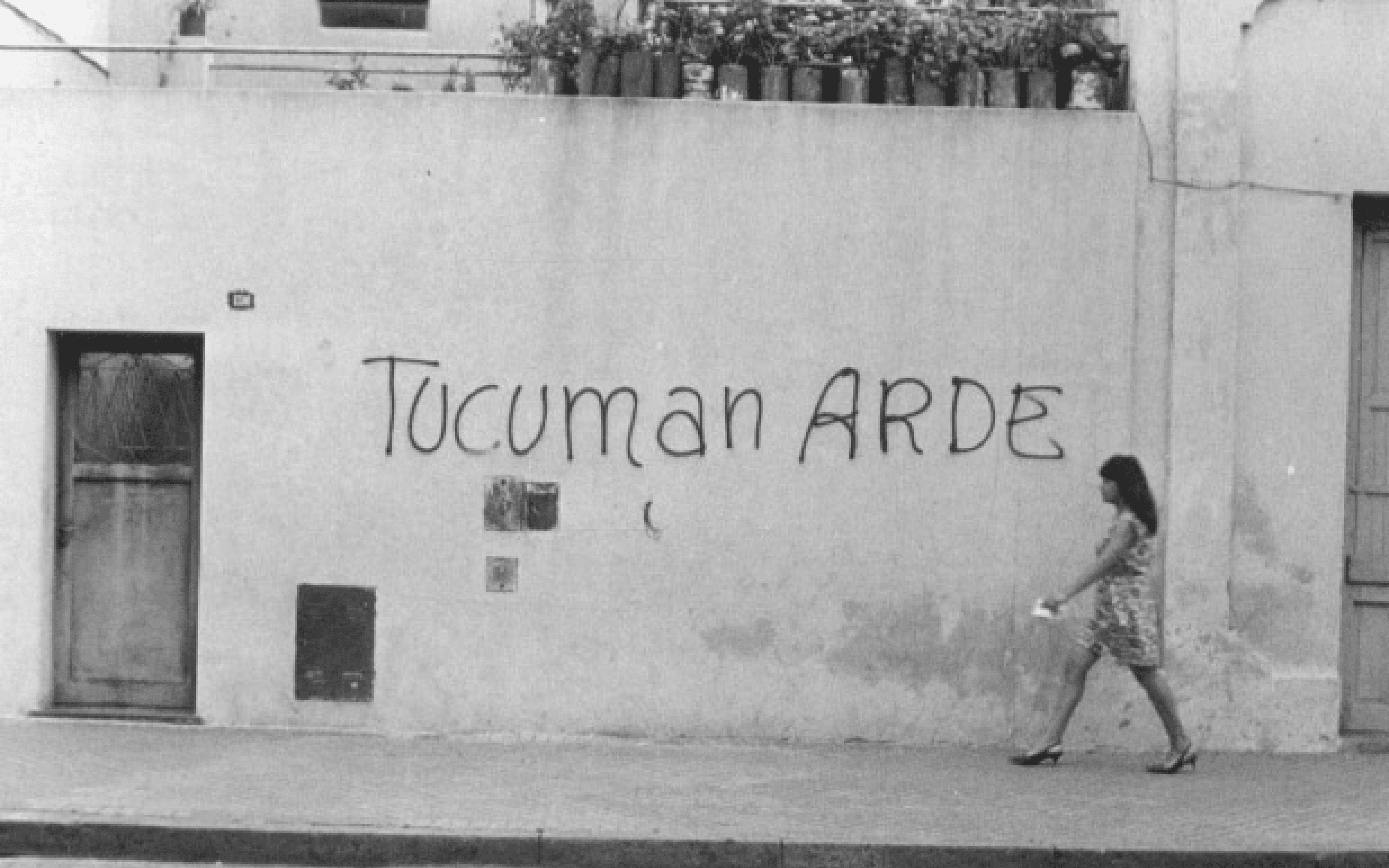 Radicalisms, Identities and Transnational Networks (1960s–1980s) - Lessons 10 to 15