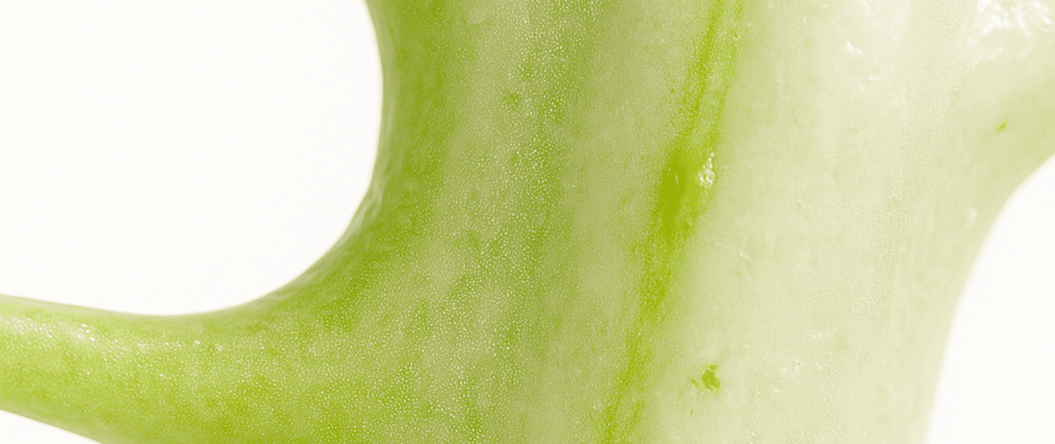 Heritage as a Living Memory