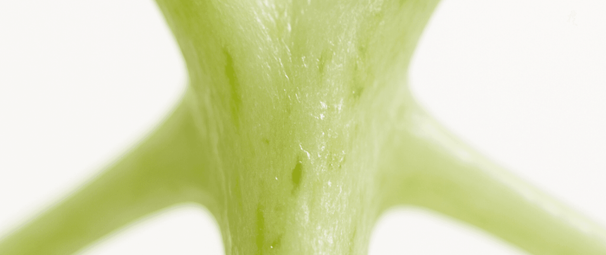 Collaborative Territories